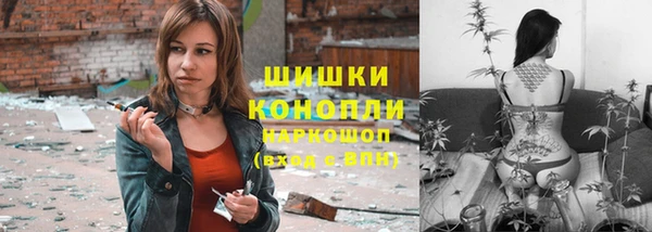 трава Алзамай